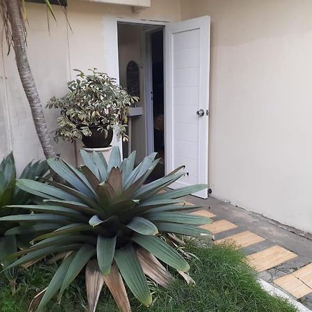 Gio Guesthouse Bogor Dış mekan fotoğraf
