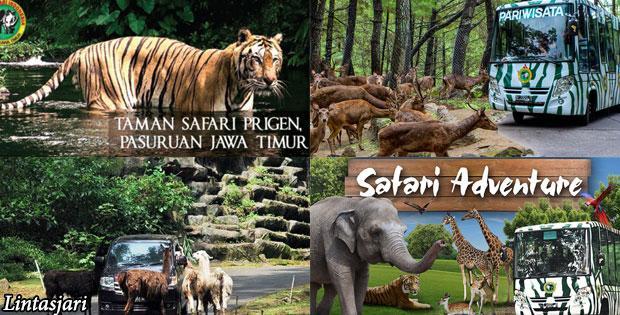 Gio Guesthouse Bogor Dış mekan fotoğraf