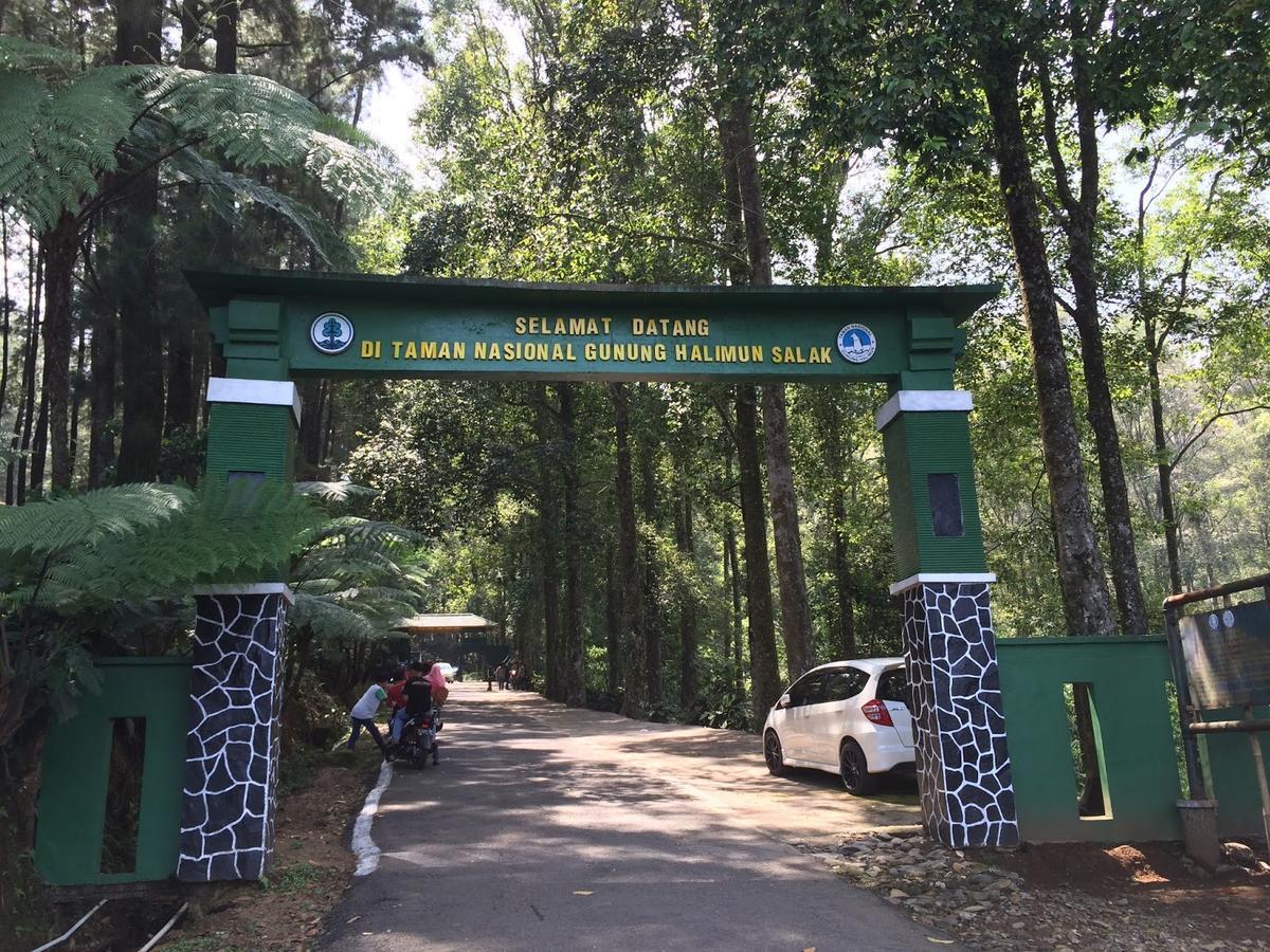 Gio Guesthouse Bogor Dış mekan fotoğraf