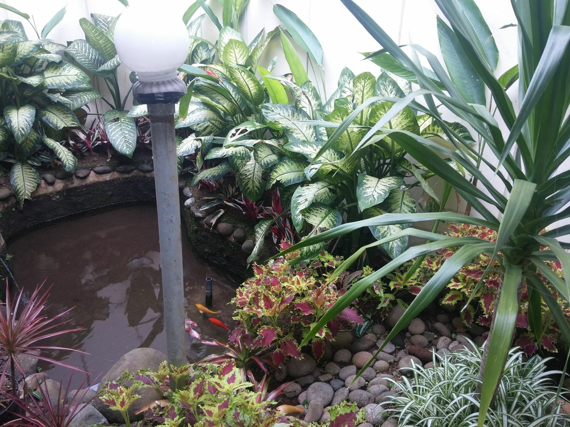 Gio Guesthouse Bogor Dış mekan fotoğraf