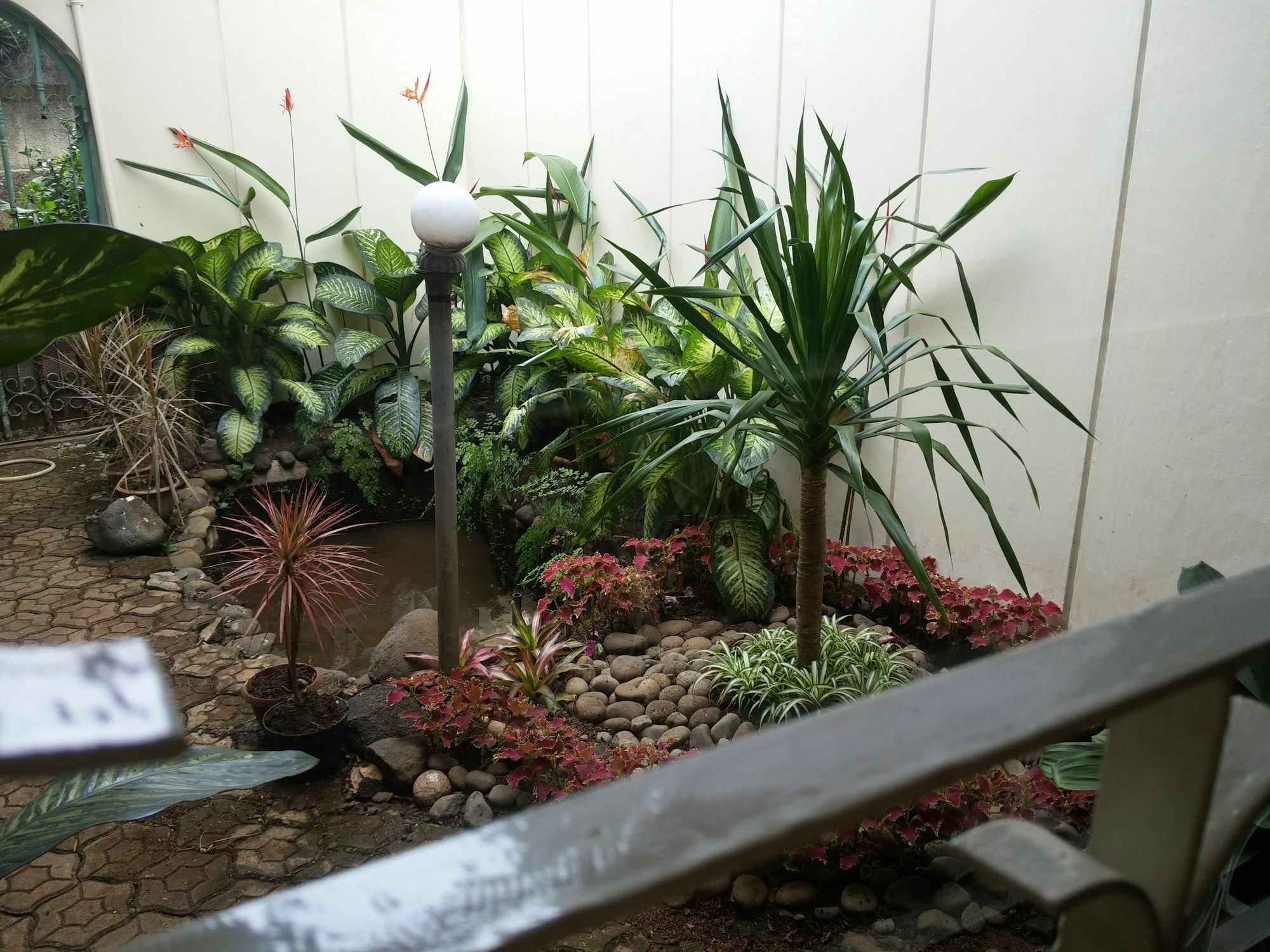 Gio Guesthouse Bogor Dış mekan fotoğraf