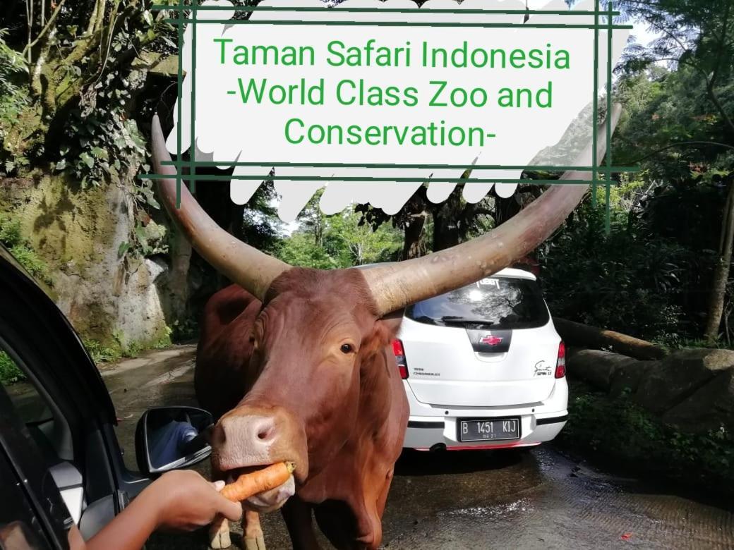 Gio Guesthouse Bogor Dış mekan fotoğraf